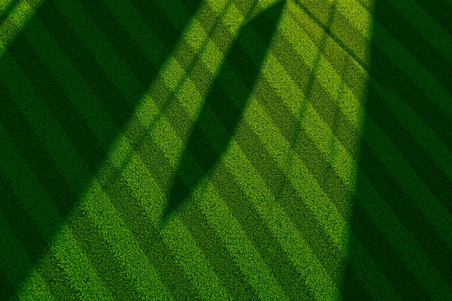 Freshly mowed striped lawn
